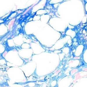 Meet your Posher, Sophia